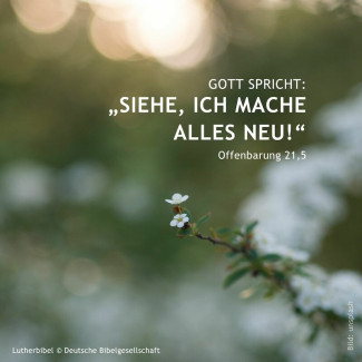 Jahreslosung_2026 1080x1080px - 5